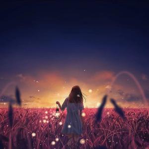 日韩Av无码高清
