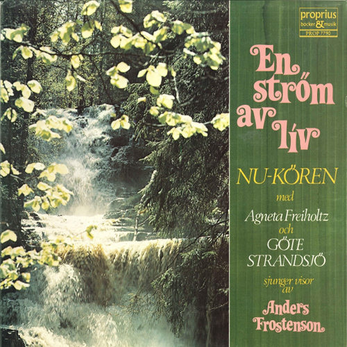 日韩Av无码高清
